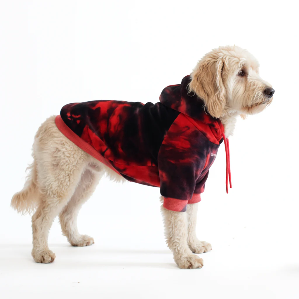 Maglione in Velluto per Cani - Rosso e Nero - Image 4