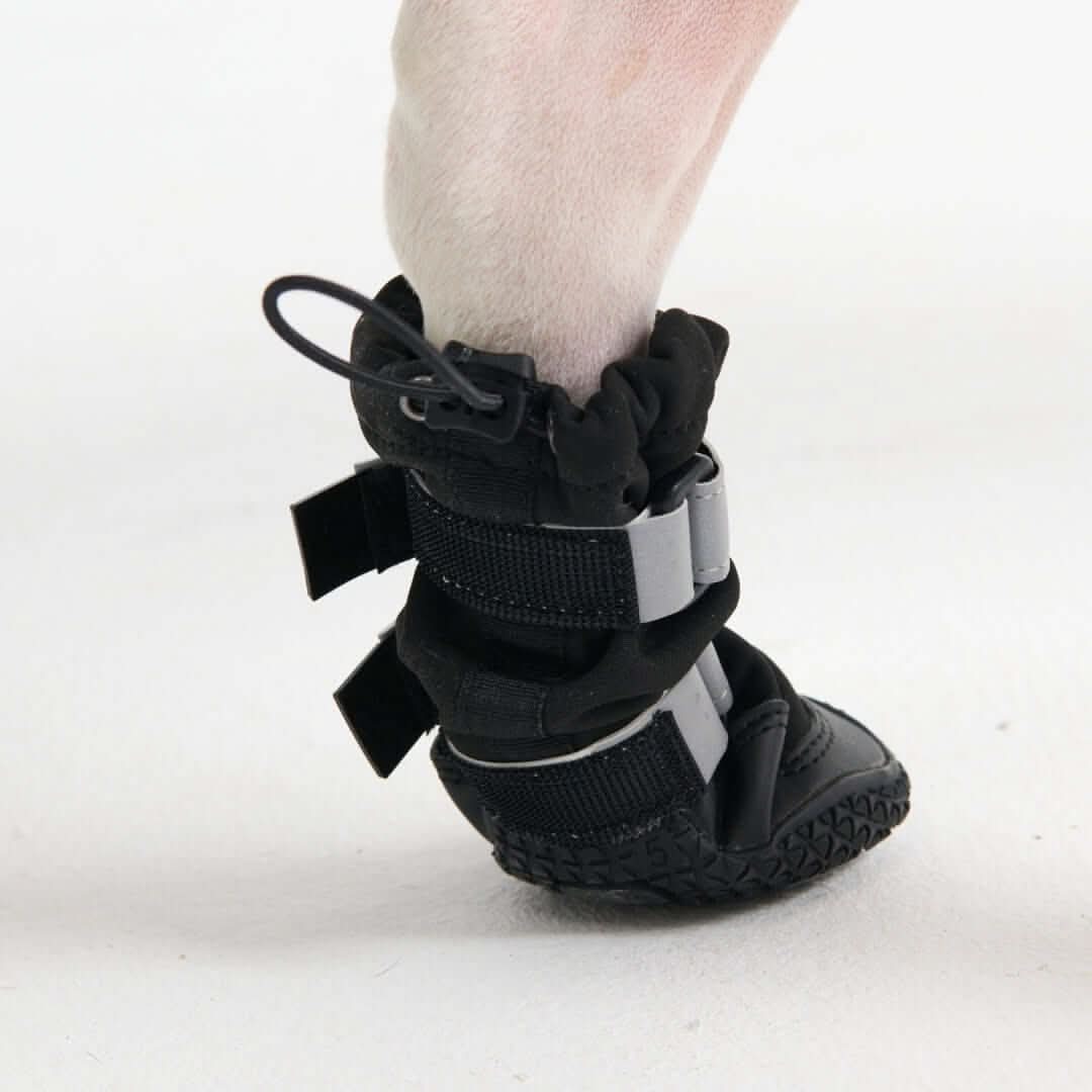 Stivali per cani Flex Shell impermeabili - Image 5