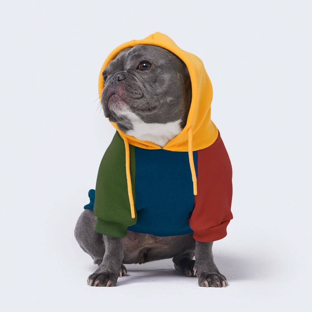 Maglione per Cani - Primario - Image 10